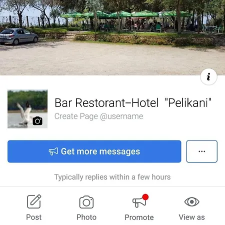 Pelikan Divjaka