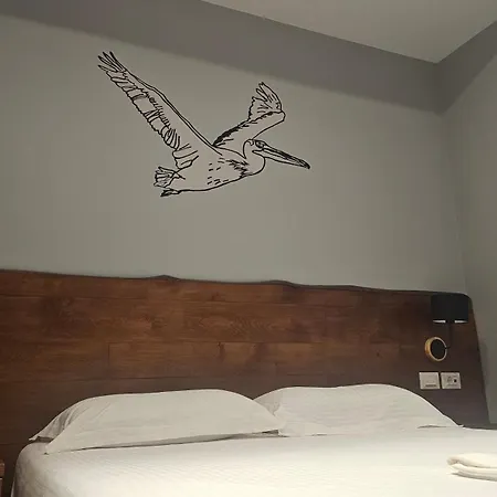 Pelikan Otel Divjake