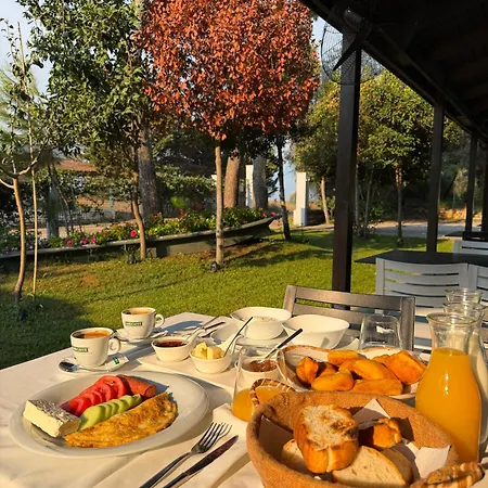 Hotel Pelikan Divjake